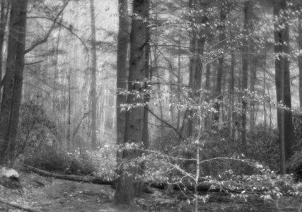 Photoplastic f5.6 9x12.jpeg