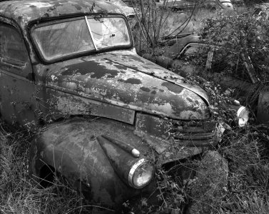 car in weeds 2 edited.jpeg