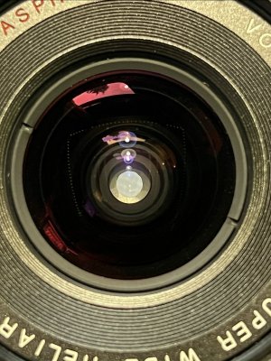 IMG_7106.jpeg