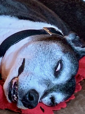 IMG_3748.jpeg