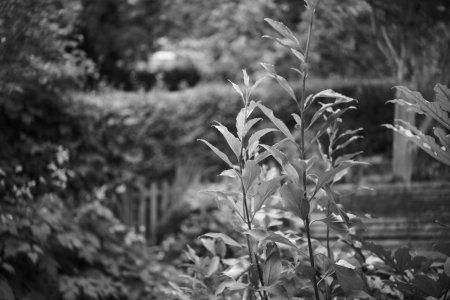 preview_L1000073.jpeg